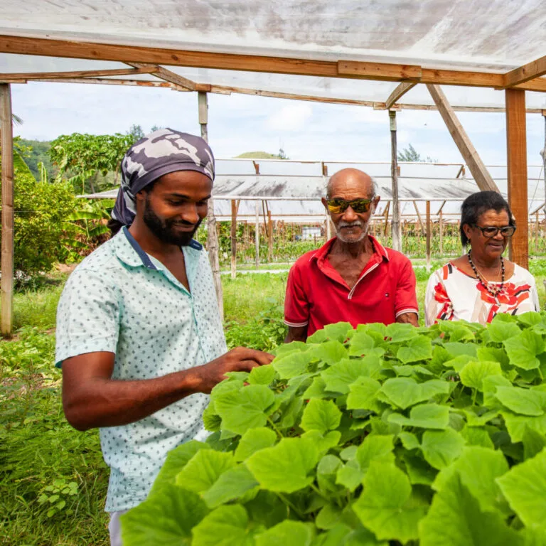 The-Niole-Family-Farmers-scaled-e1695318675878-768x768.jpg